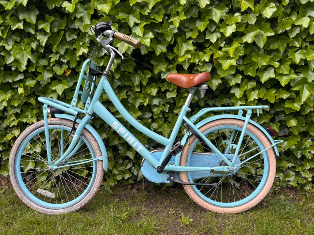 Meisjesfiets 22 inch, Ophalen, Gebruikt, 22 inch, Versnellingen