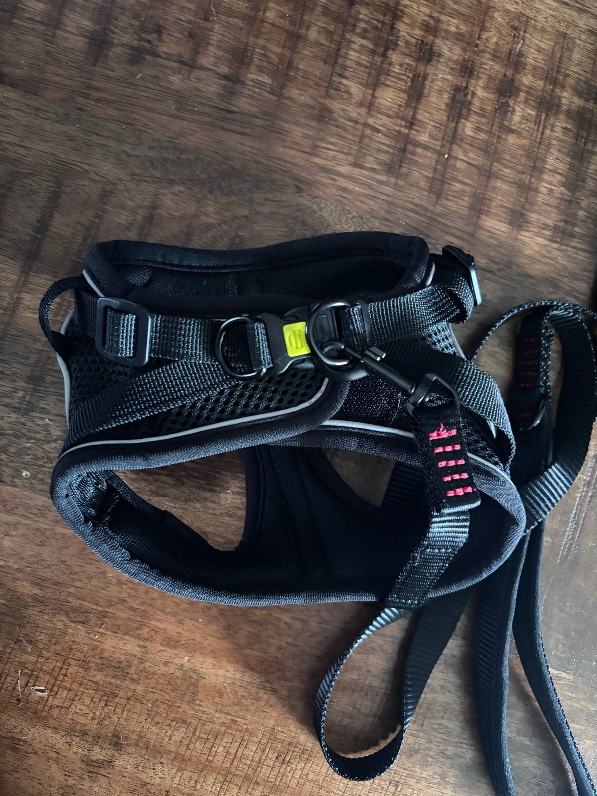 Harnas katten - M - nieuw, Dieren en Toebehoren, Katten-accessoires, Ophalen of Verzenden, Nieuw