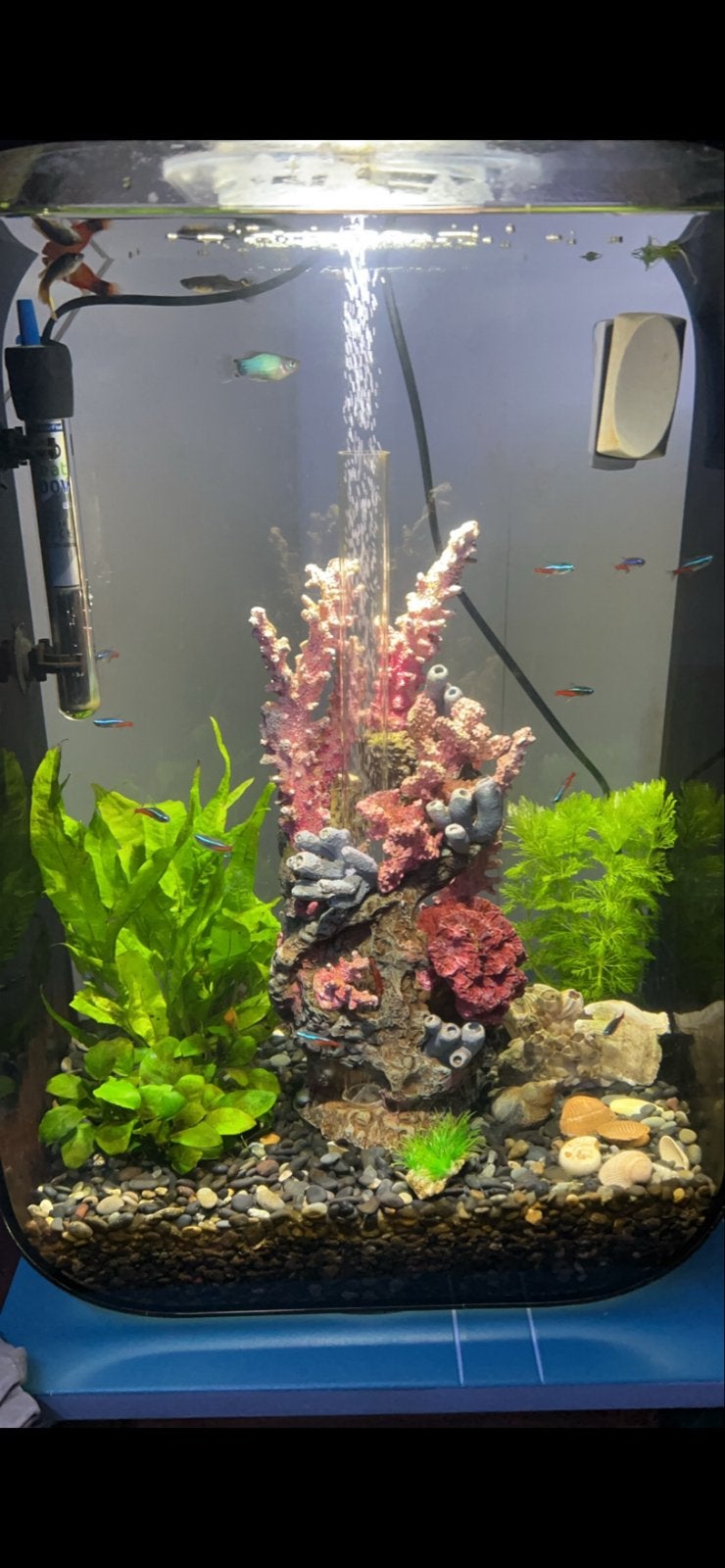 Aquarium Biorb 60L, Ophalen, Gebruikt, Overige merken, Leeg aquarium