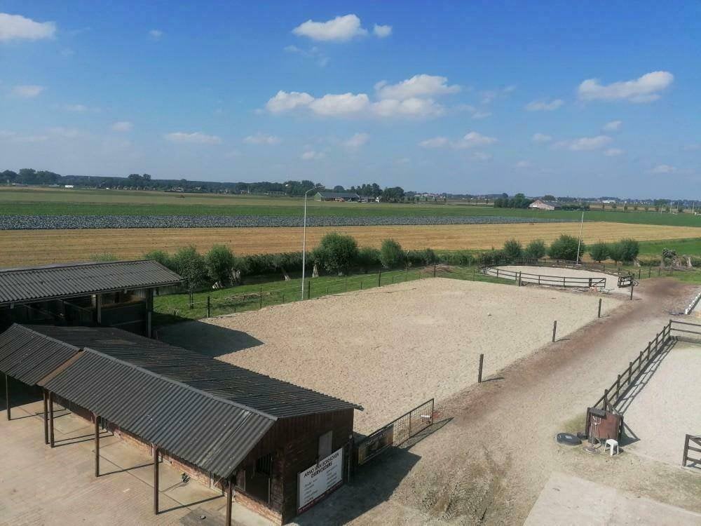 2 stallen te huur per 1 november, 2 of 3 paarden of pony's, Stalling, Voogdwerfsesteeg 2 Hank, De oude Pannenhoef