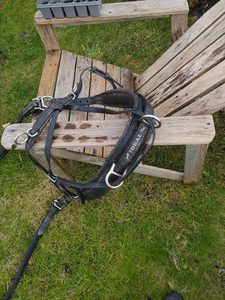 Ideal Eurotech borstuigen (maat pony) (2x) met strengen, Dieren en Toebehoren, Ophalen of Verzenden, Gebruikt, Overige soorten