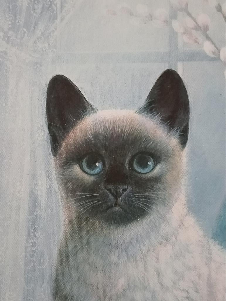 Print Kat Poes  Siamees, Minder dan 50 cm, ., Ophalen of Verzenden, Print
