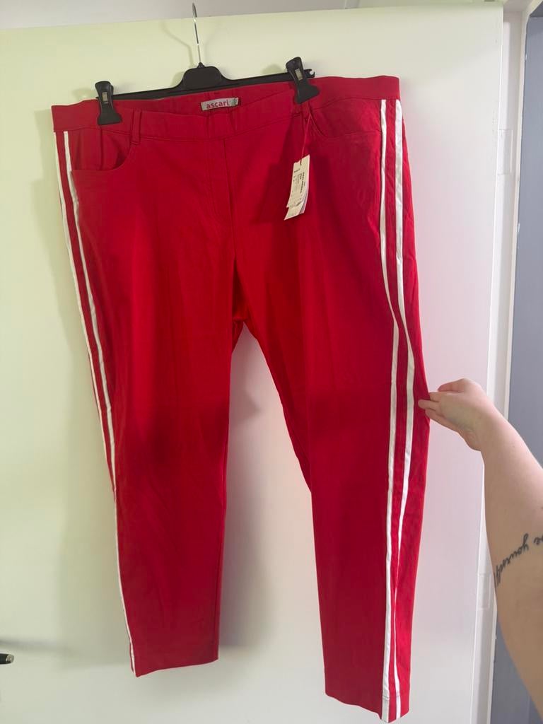 Ascari broek maat 54, Kleding | Dames, Maat 46/48 (XL) of groter, Nieuw, Ophalen of Verzenden, Lang