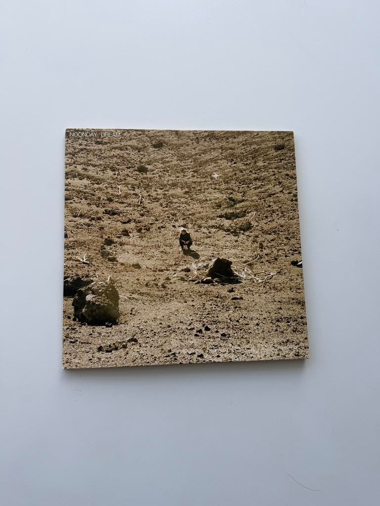 Noonday dream LP ben howard, Ophalen of Verzenden, Zo goed als nieuw, Overige onderwerpen