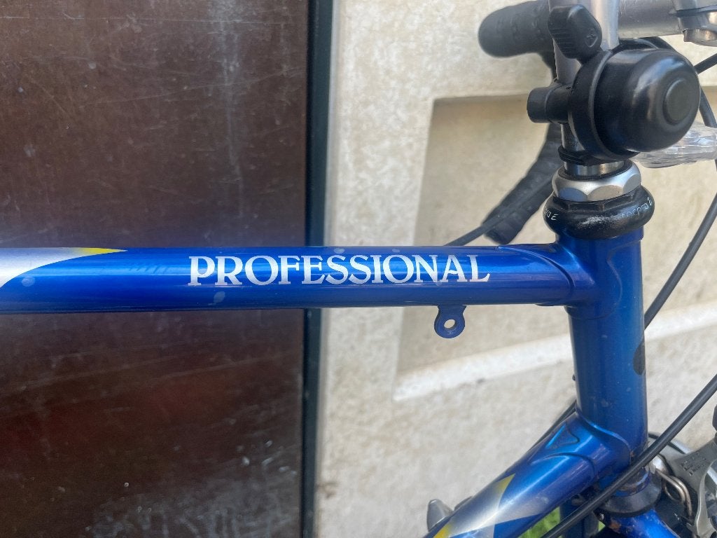 Race fiets Batavus professional, Fietsen en Brommers, Fietsen | Racefietsen, Ophalen, Gebruikt, 26 inch, 10 tot 15 versnellingen