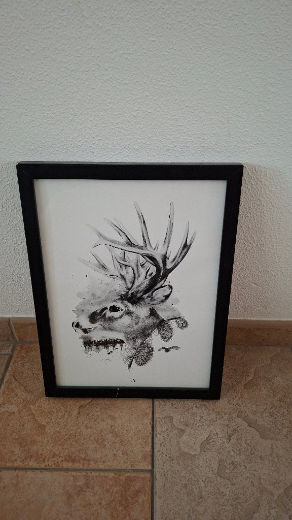 Schilderij hert - Zwart-wit met dennenappels, Ophalen, Gebruikt, Schilderij, Achter glas
