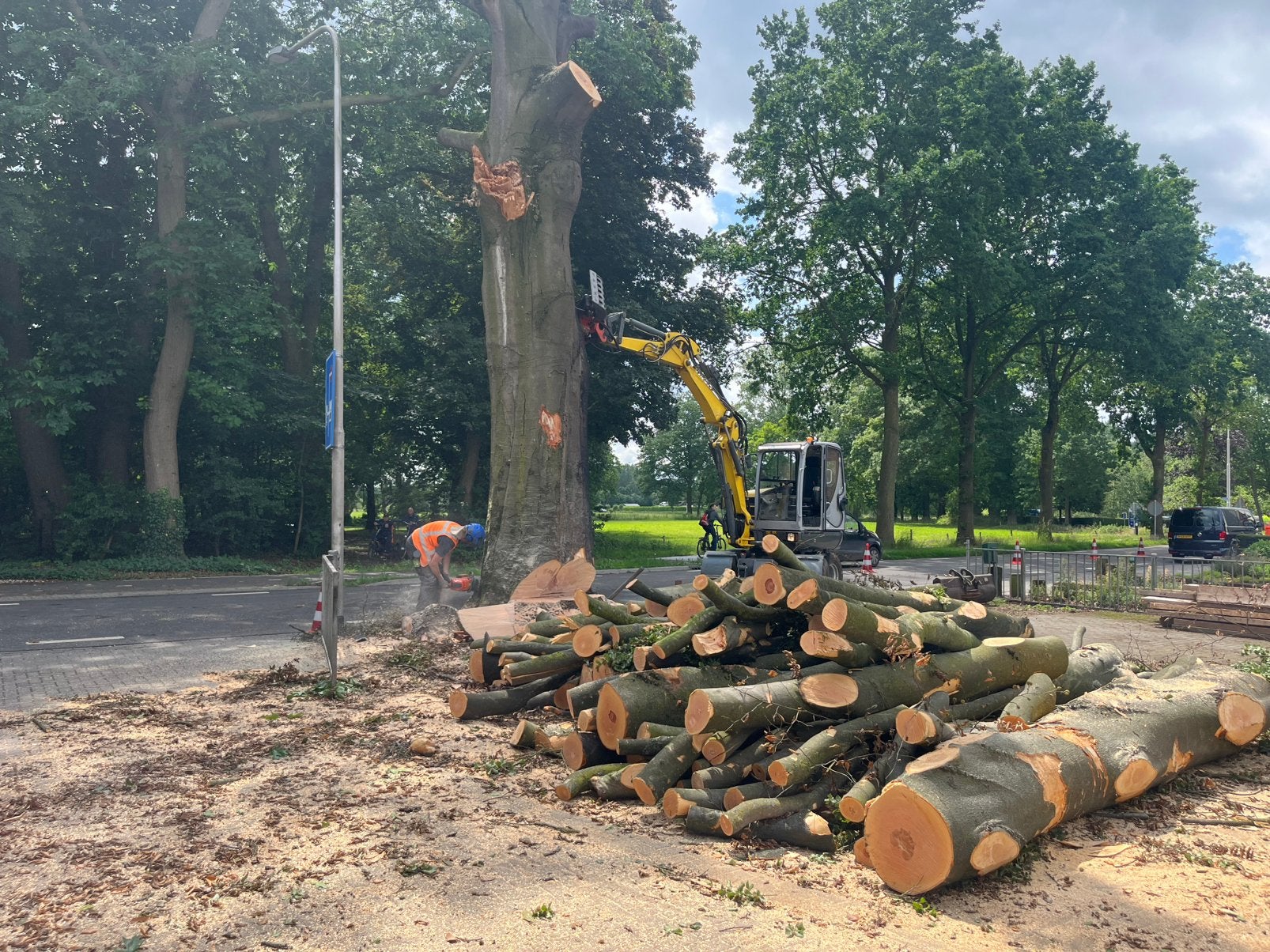 Boomverzorging, boomverwijderen,bomenrooien,zagen,kappen,hou
