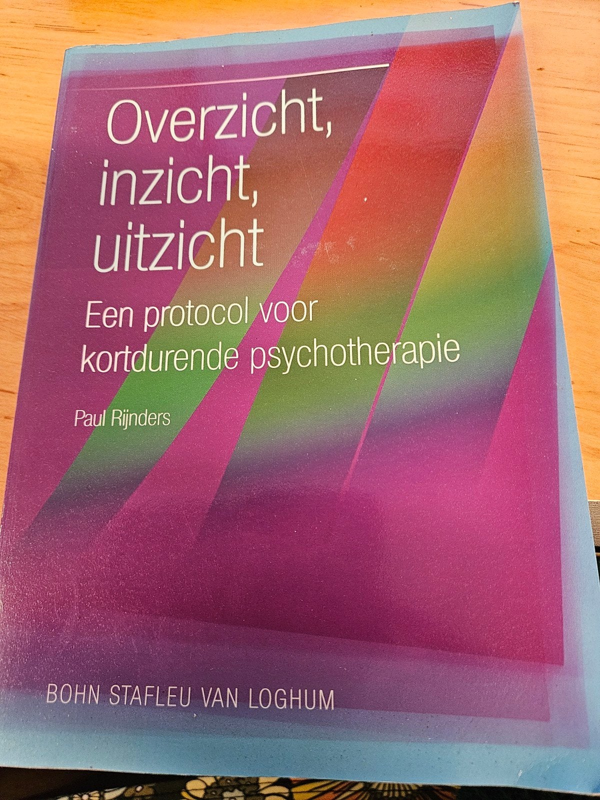 Overzicht, Inzicht En Uitzicht van Paul Rijnders, Boeken, Ophalen of Verzenden, Beta, Gelezen, HBO