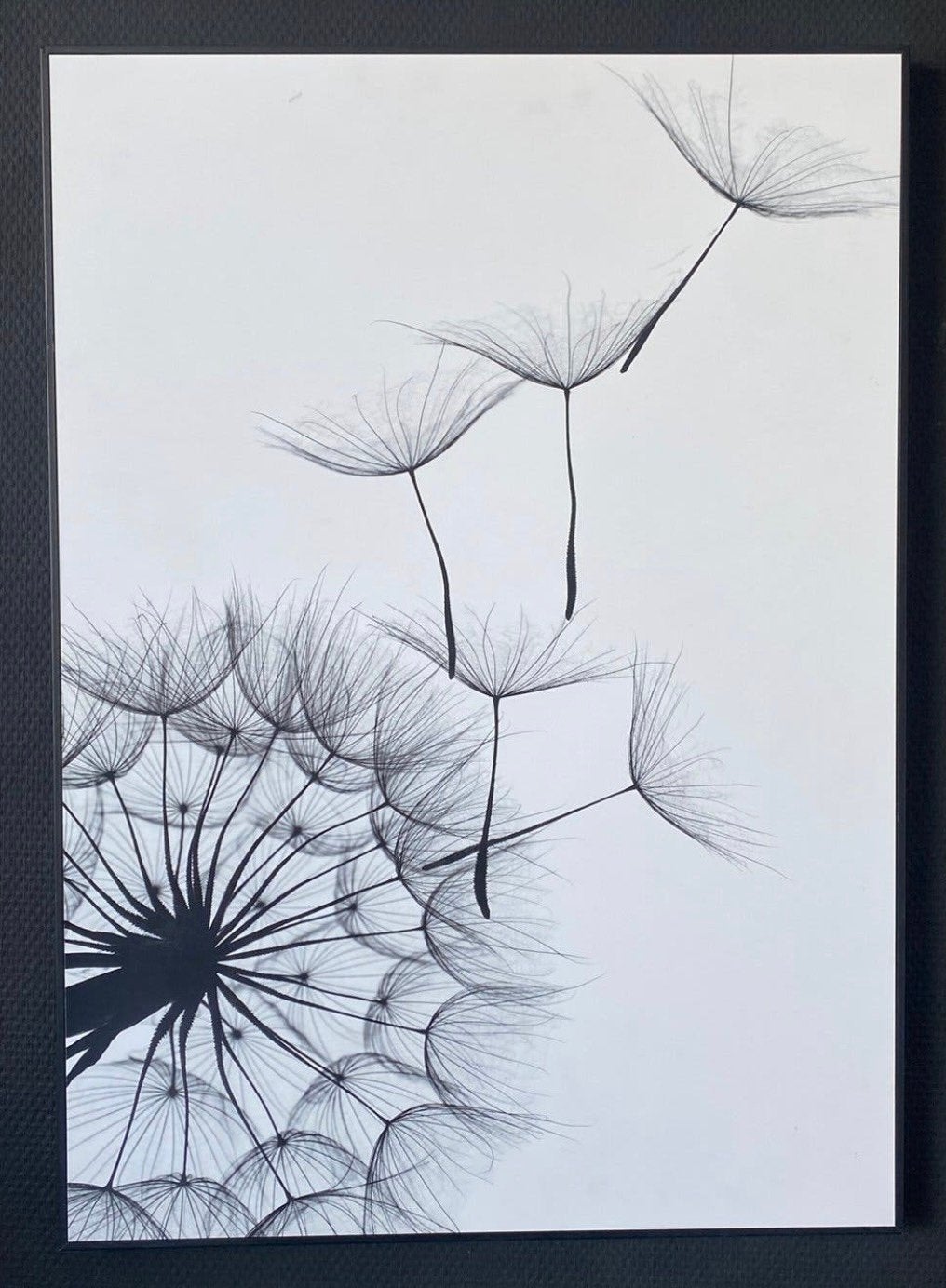 Schilderij bloemen -  met zwarte lijst, Ophalen of Verzenden, Ingelijst, Bloemen