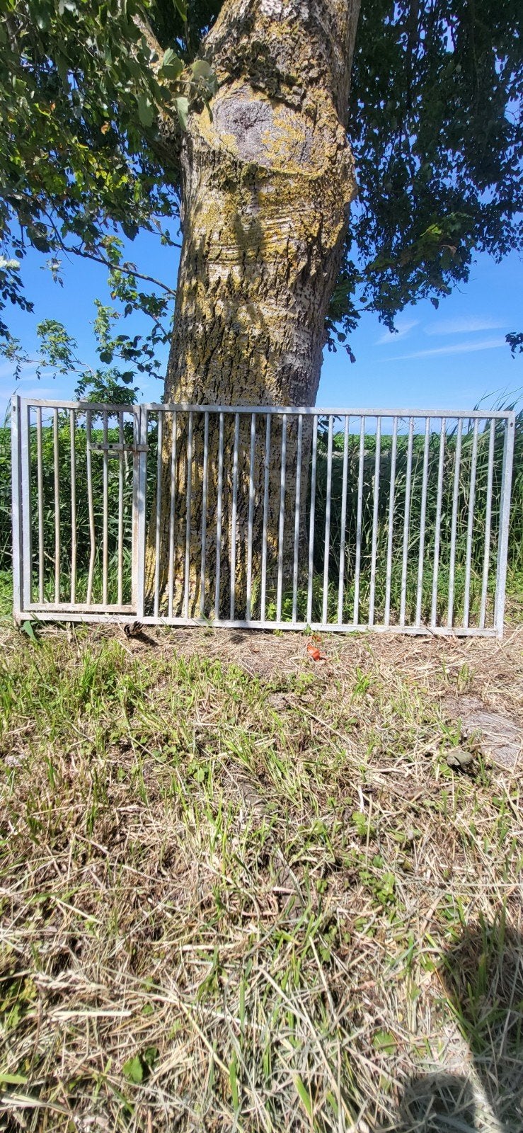 Kennelpanelen, Ophalen, Gebruikt, 110 cm of meer