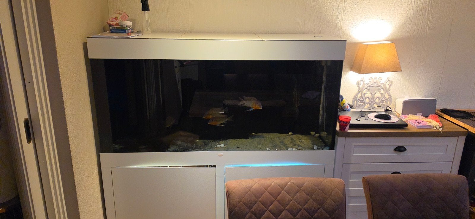 Aquarium 150cm met sump, Ophalen of Verzenden, Inclusief deksel, Leeg aquarium