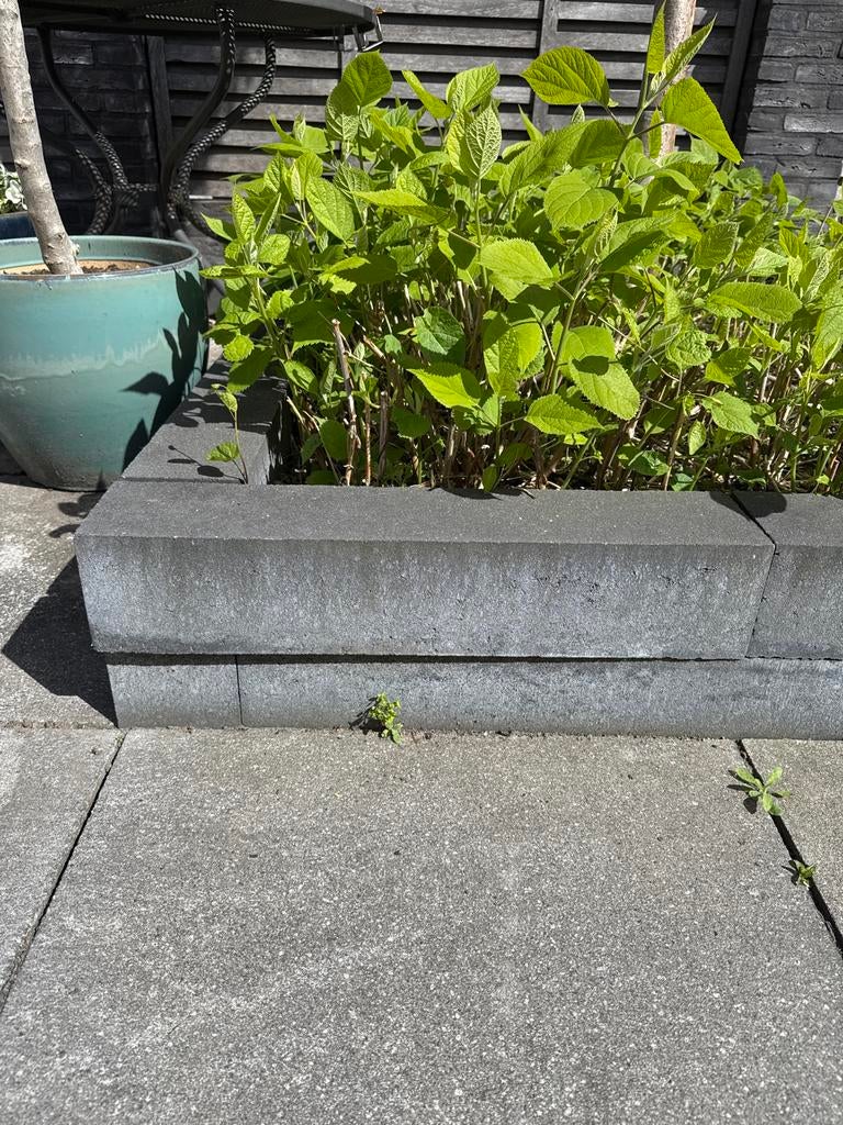 Betonnen bielzen voor tuin en landschapsinrichting, Tuin en Terras, Bielzen en Borders, Gebruikt, 25 tot 50 cm, Biels, Ophalen of Verzenden