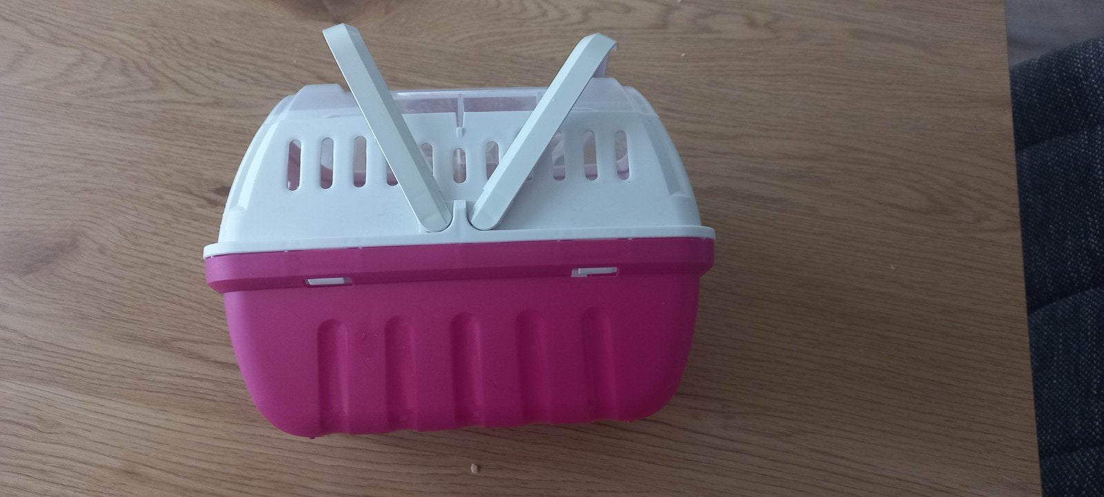 hamster, Januari, Mannelijk, Hamster