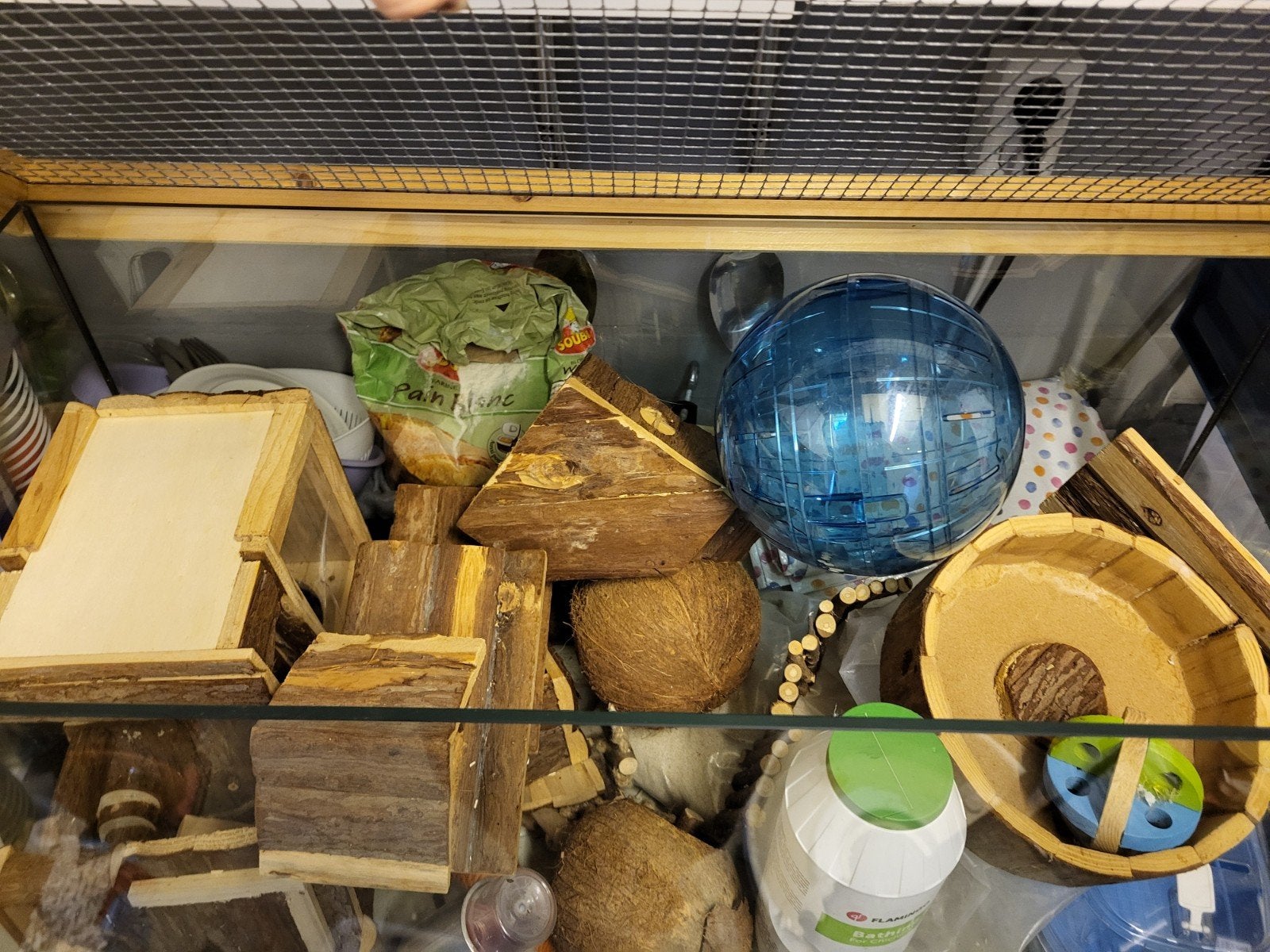 Mooie dwerghamsterkooi van glas met veel accessoires, Gebruikt, 75 tot 110 cm, Ophalen, Minder dan 60 cm