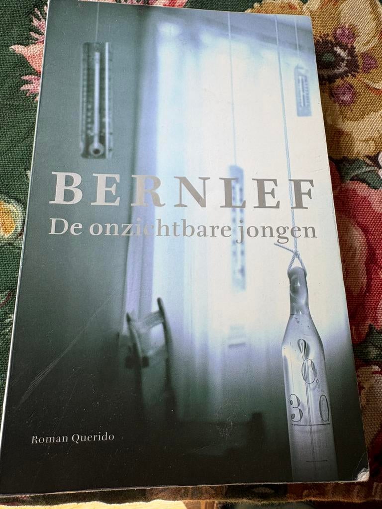 De onzichtbare jongen. Bernlef., Ophalen of Verzenden, Zo goed als nieuw