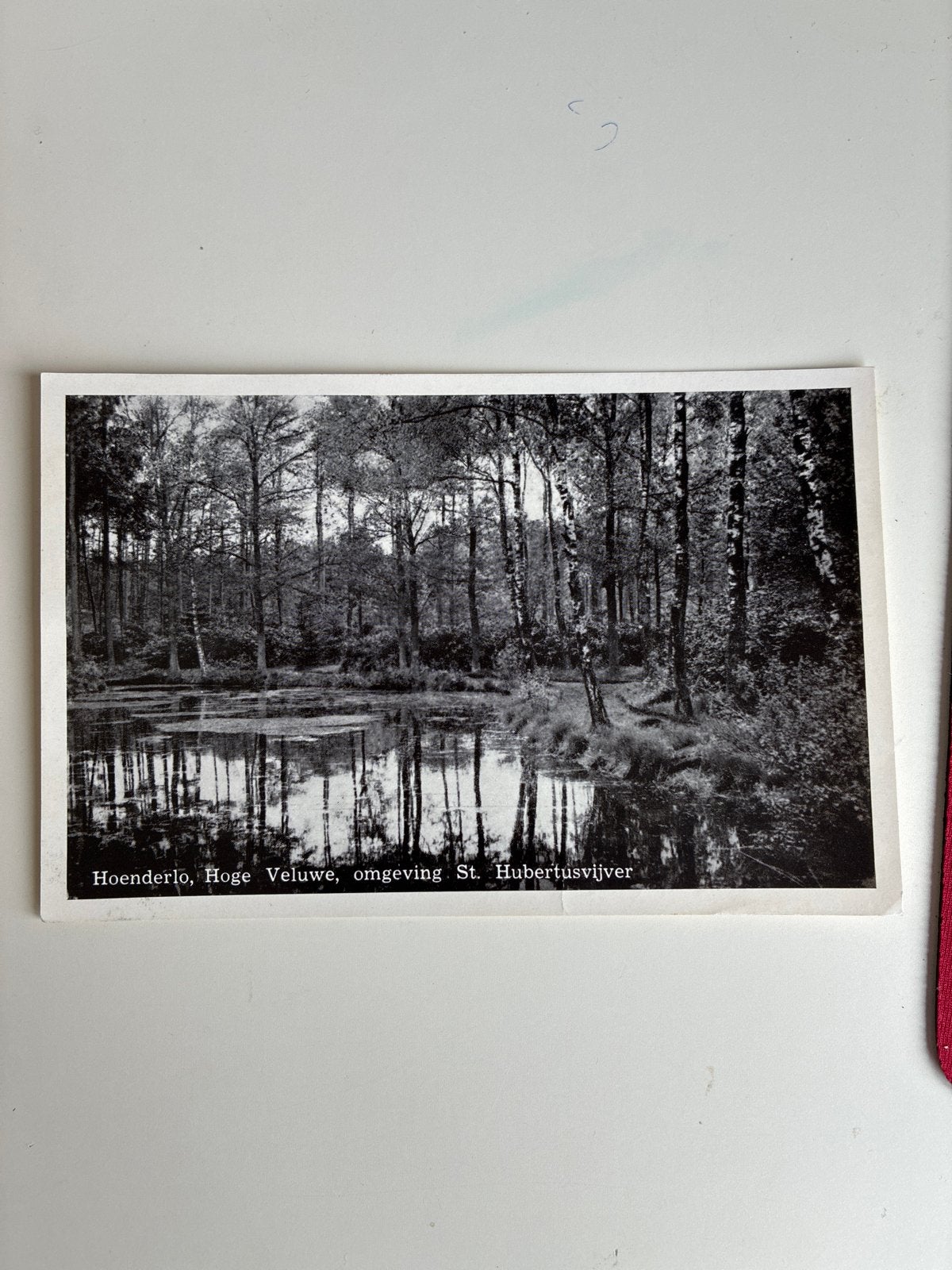 Hoenderloo, Hoge Veluwe, omgeving St. Hubertusvijver, Ophalen of Verzenden, 1940 tot 1960, Gelopen, Gelderland