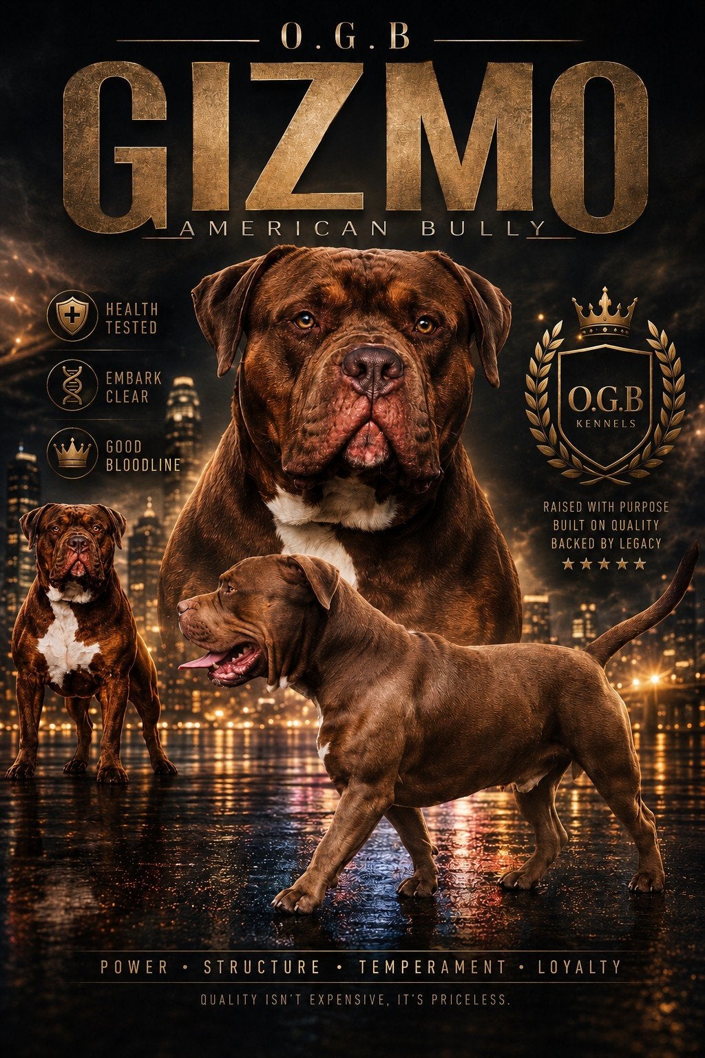 American bully xl dekreu Health Tested!, Dieren en Toebehoren, Honden | Dekreuen, Parvo, Reu, 1 tot 2 jaar, Eén hond