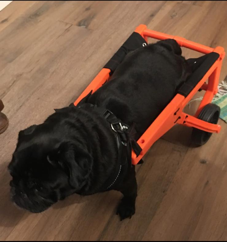 Custom Hondenrolstoel maat en kleur kiesbaar, Dieren en Toebehoren, Honden-accessoires, Verzenden, Nieuw
