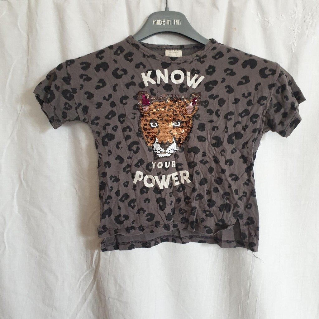 Leuk meiden shirt, wijf pailletjes. mt 116. Merk Zara, Meisje, ., Ophalen of Verzenden, Zo goed als nieuw