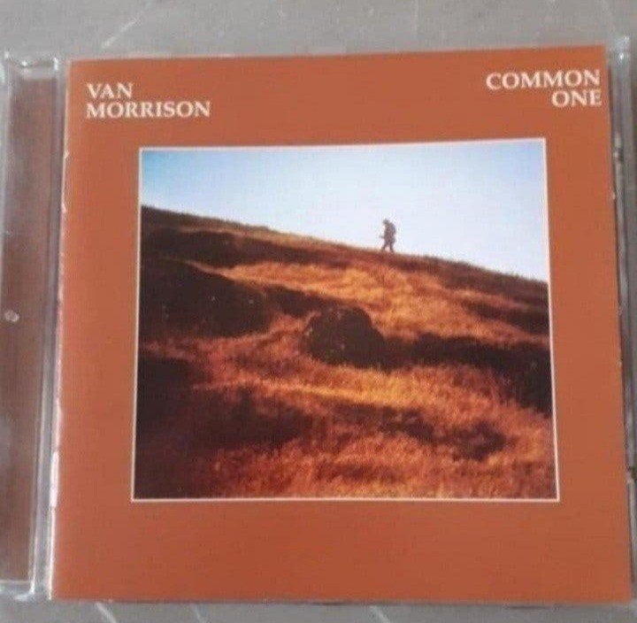 Van Morrison - Common One (1980), Ophalen of Verzenden, Zo goed als nieuw, Pop, Album
