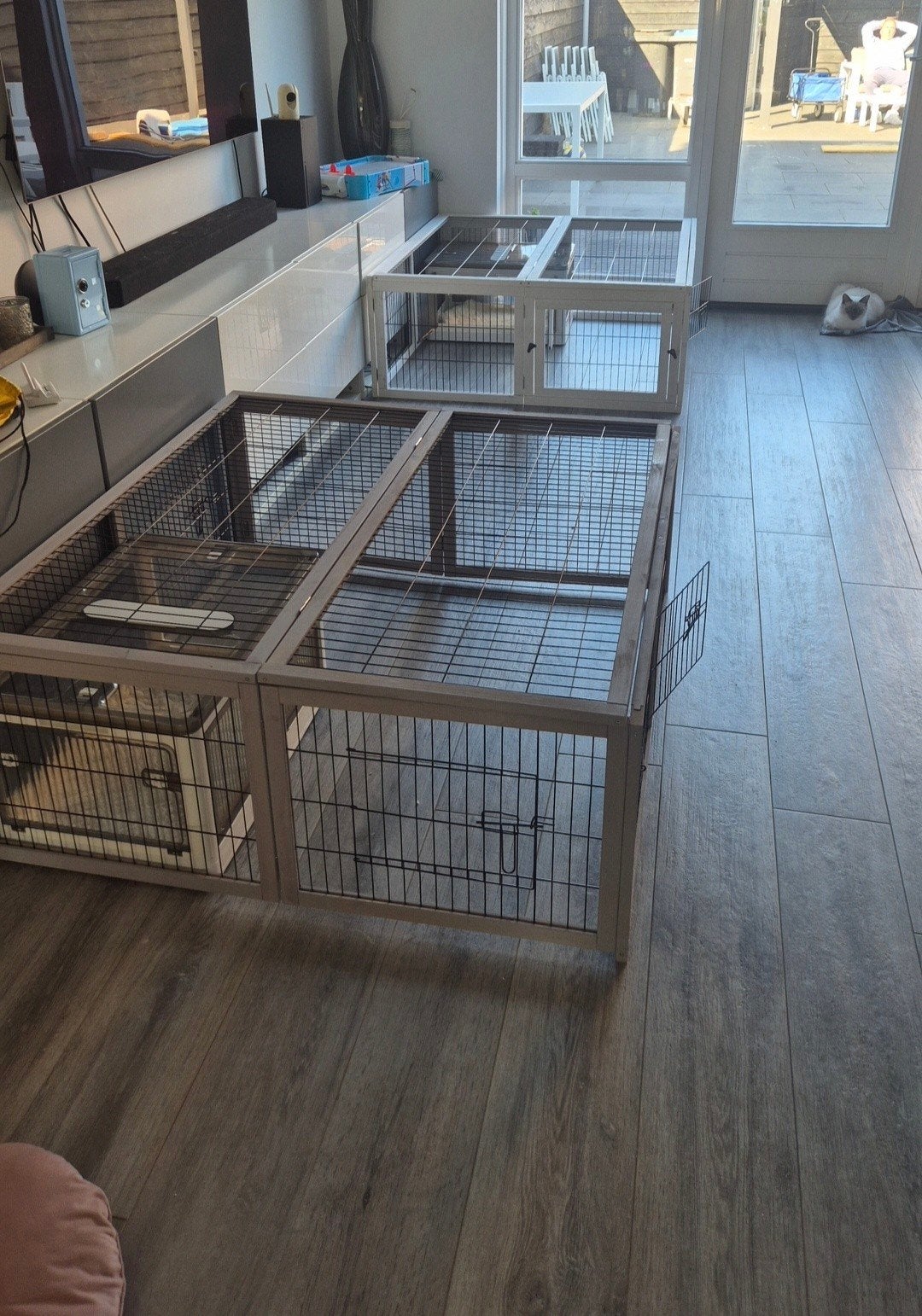 Kattenren voor bevalling, Ophalen