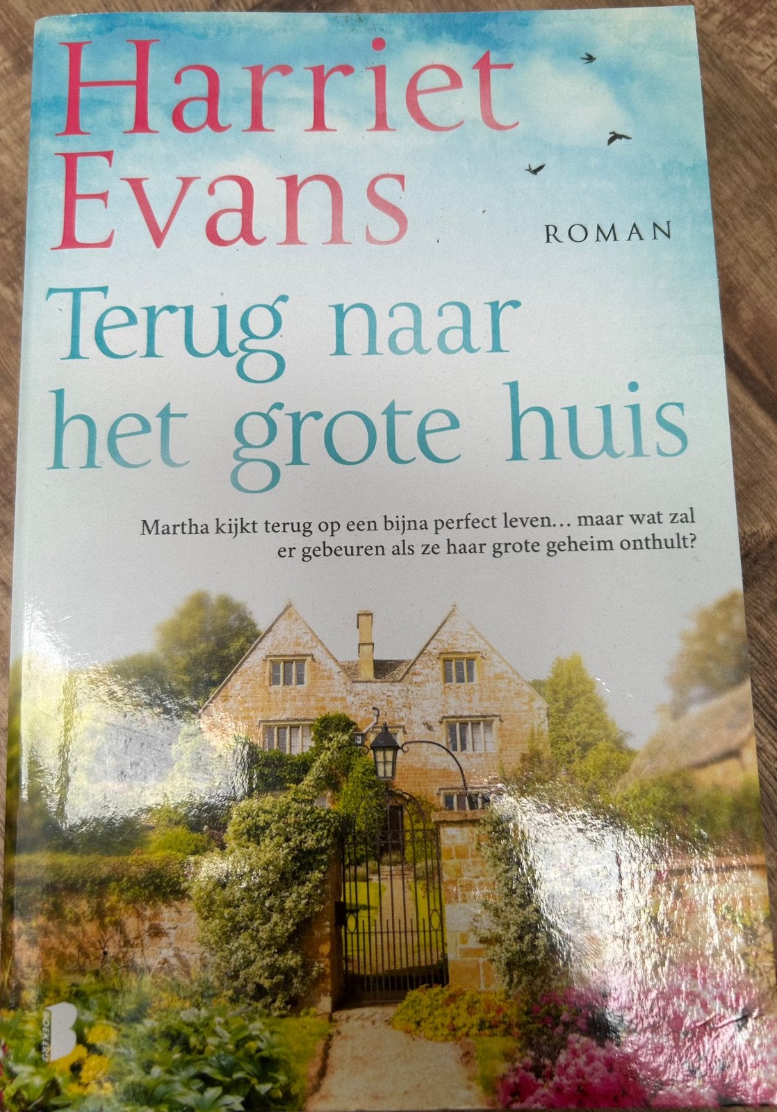 Terug naar het grote huis - Harriet Evans (Roman), Ophalen of Verzenden, Gelezen
