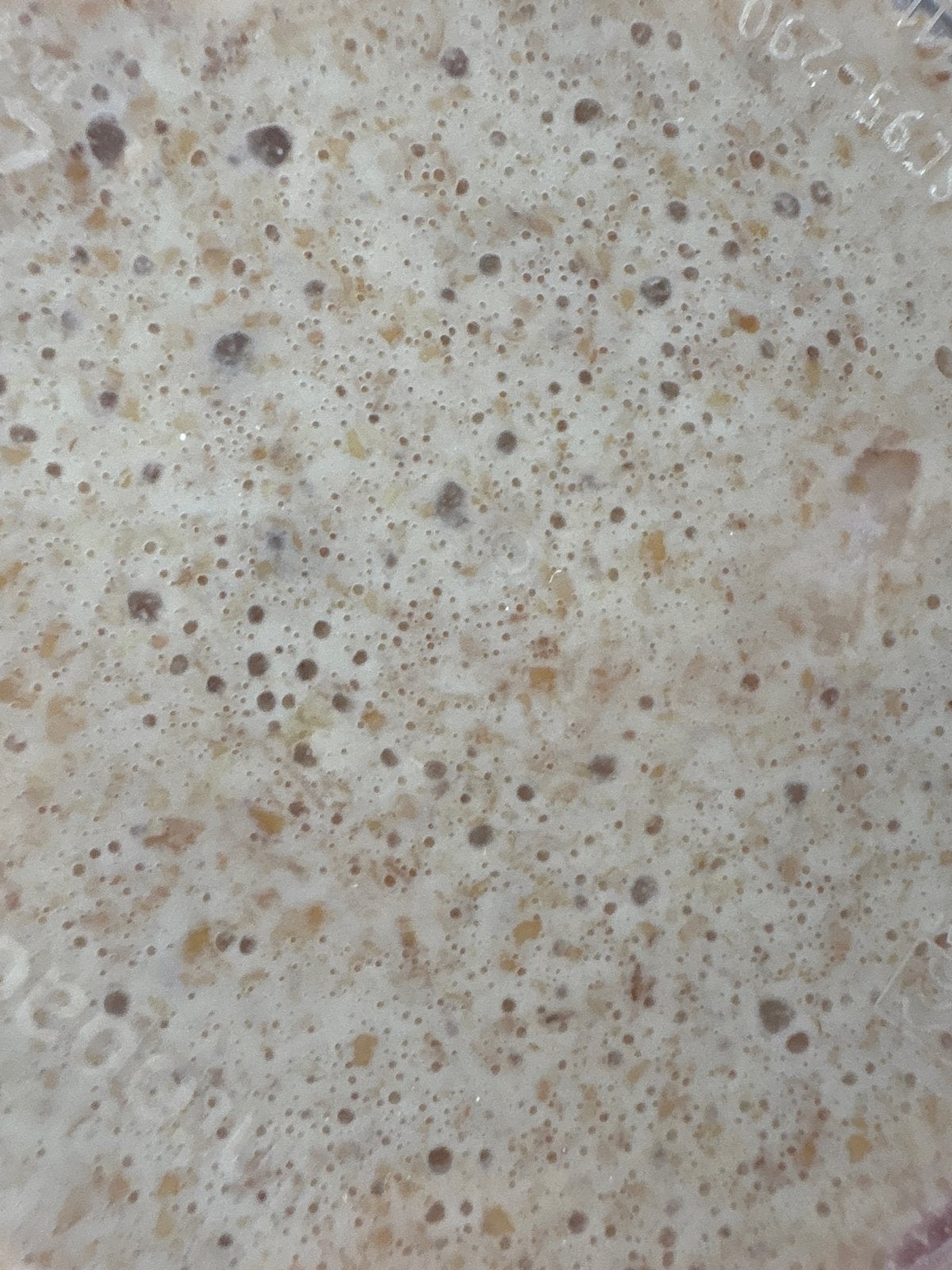 Zuurdesemstarter | starter, Ophalen of Verzenden