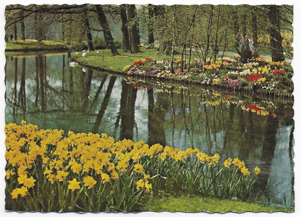 Lisse Keukenhof Gelopen Ansichtkaart ( B5676), Ophalen of Verzenden, 1980 tot heden, Gelopen
