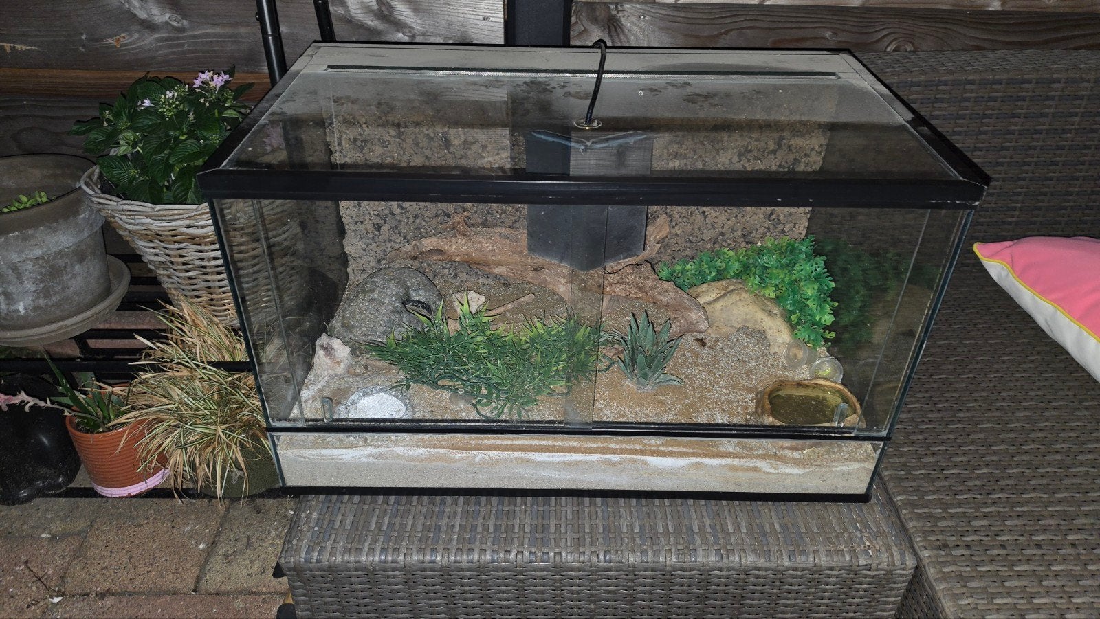 Terrarium 70 x 40 x 40 plus toebehoren, Ophalen, Gebruikt, Terrarium of Paludarium