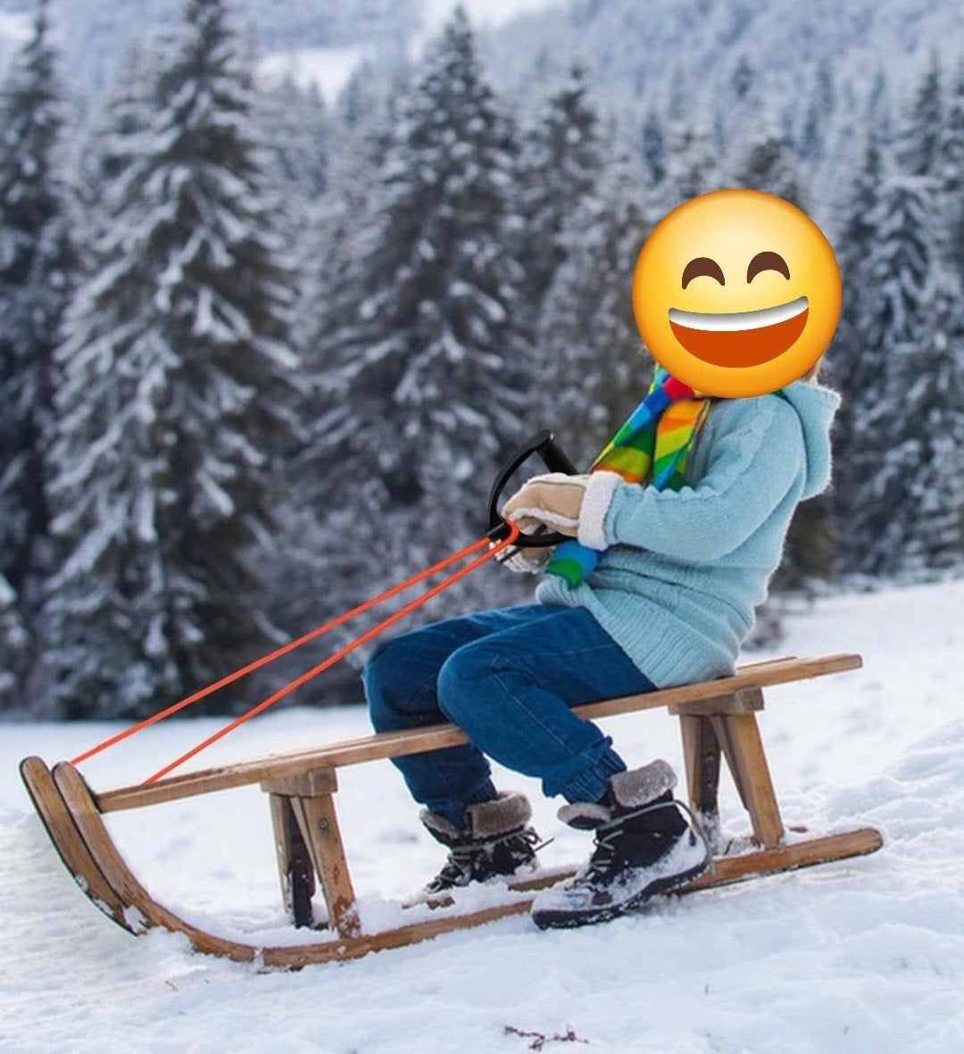 Slee, Kinderen en Baby's, Speelgoed | Buiten | Sleeën, Ophalen of Verzenden, Gebruikt, Hout
