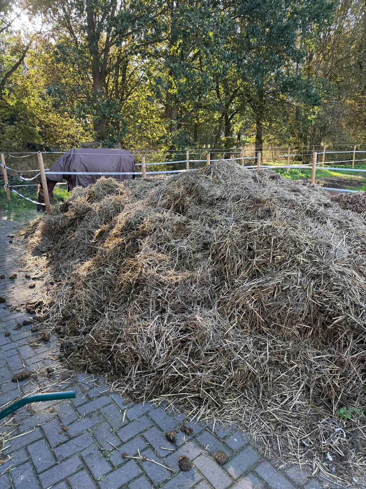 GRATIS PAARDEN MEST, Tuin en Terras, Ophalen, Zo goed als nieuw, Minder dan 10 meter, Overige typen