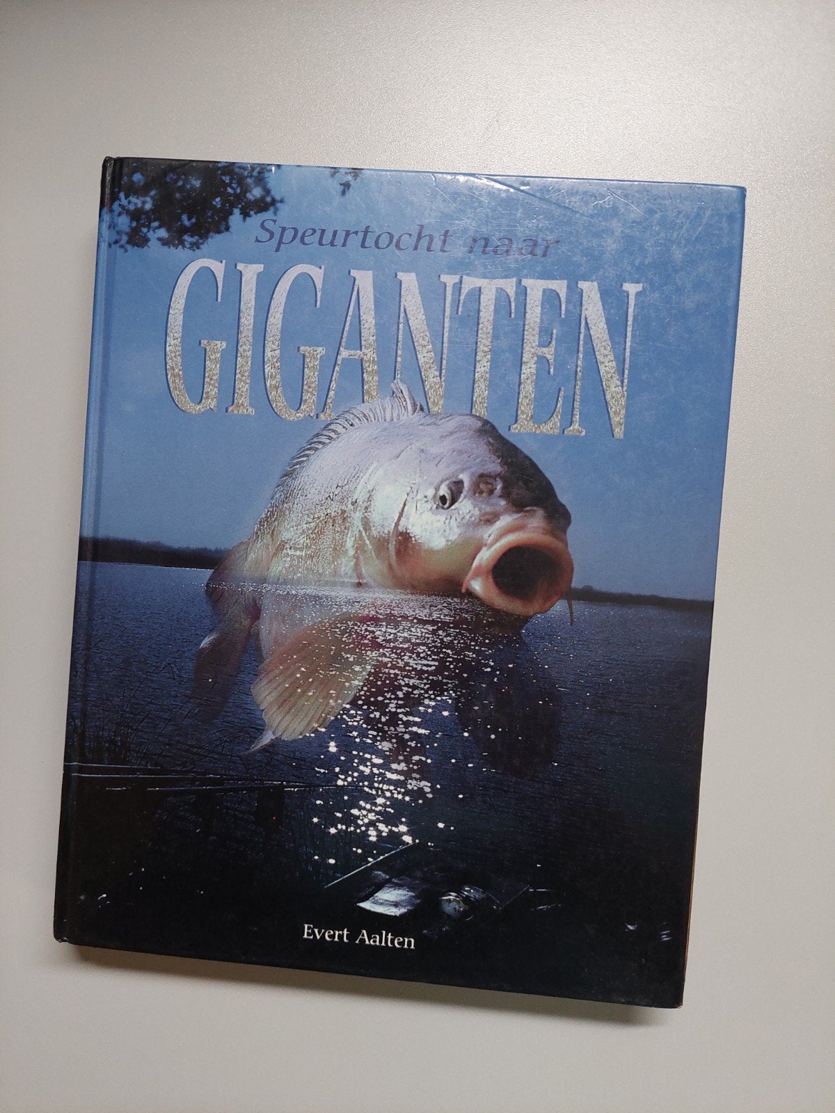Speurtocht naar Giganten - Evert Aalten, Watersport en Boten, Hengelsport | Karpervissen, Ophalen of Verzenden, Zo goed als nieuw