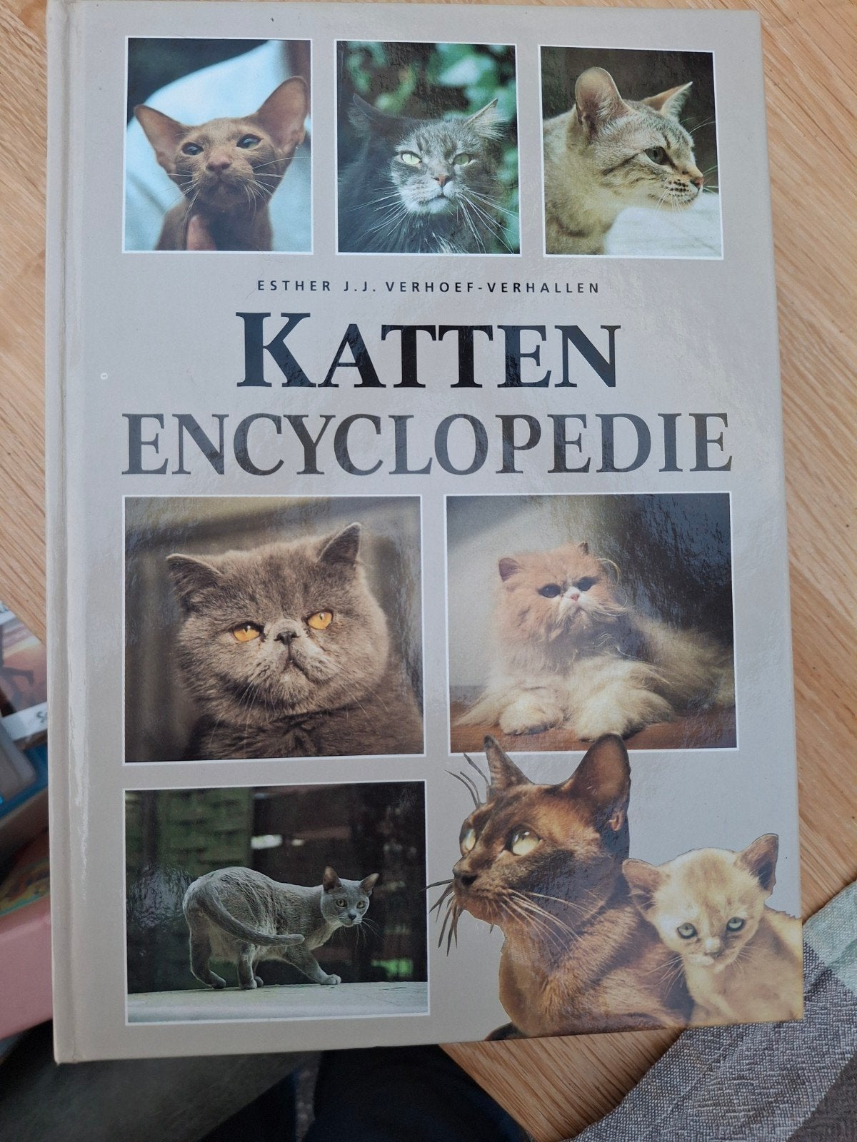 E.J.J. Verhoef-Verhallen - Katten encyclopedie, Boeken, Dieren en Huisdieren, E.J.J. Verhoef-Verhallen, Ophalen of Verzenden, Zo goed als nieuw