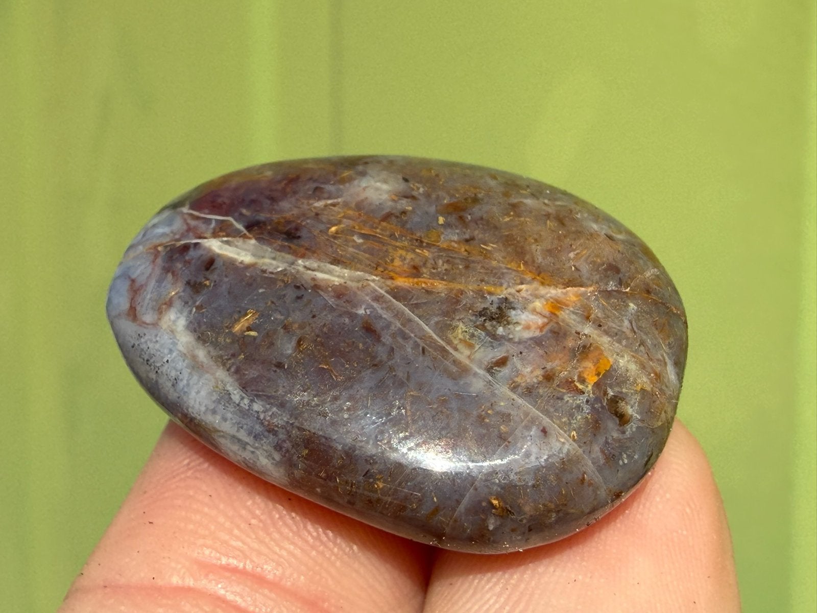 Pietersiet legger palmsteen mineralen, Ophalen of Verzenden, Mineraal