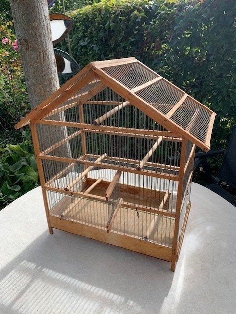 vogelkooi, Meerdere dieren, Zangkanarie