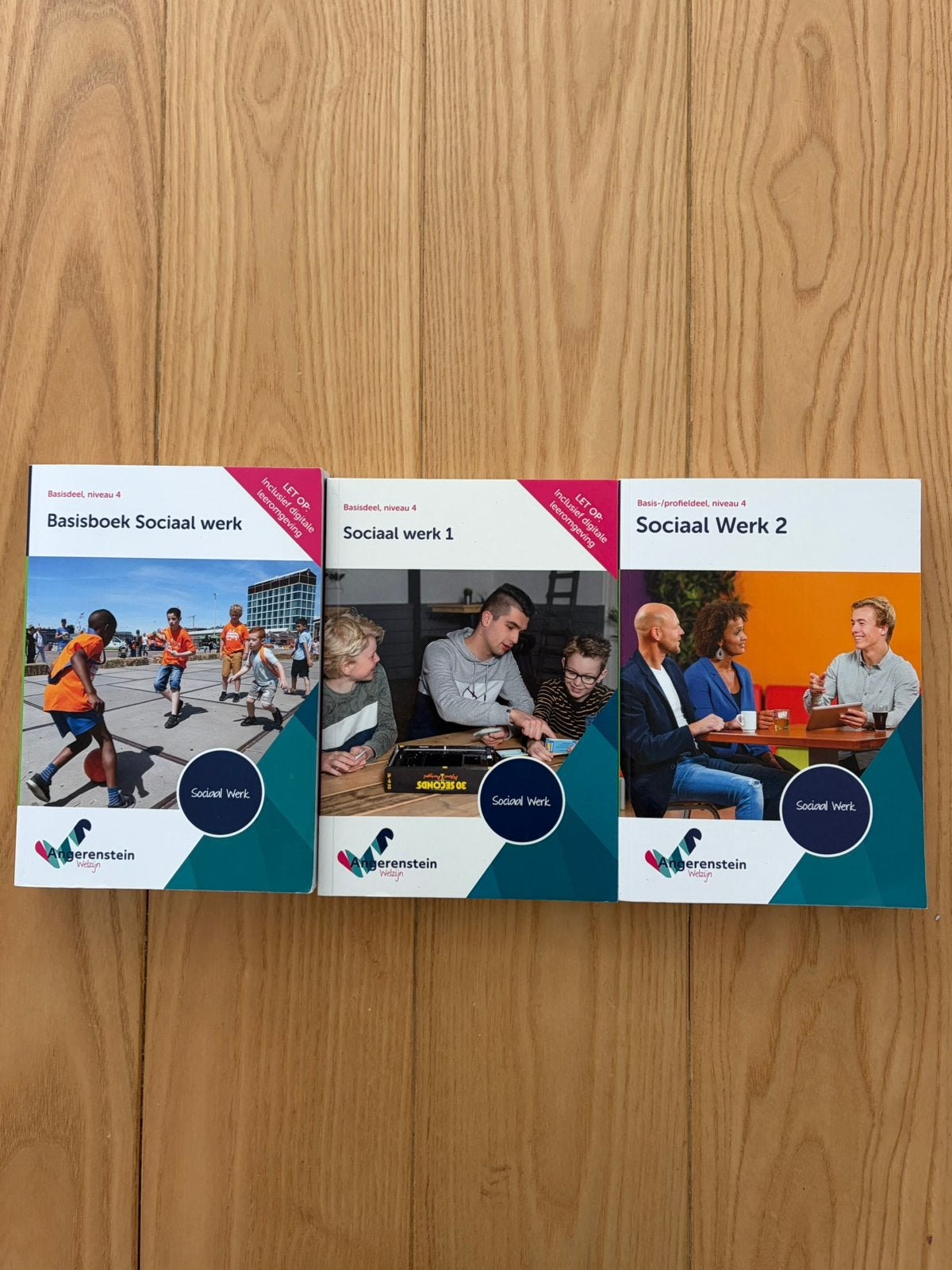 Sociaal Werk boeken mbo niveau 4 - complete boekenserie, Boeken, Ophalen of Verzenden, Zo goed als nieuw, Overige niveaus, Fries