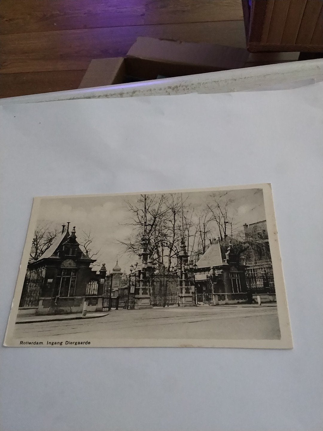 Oude Ansichtkaart Rotterdam ingang Diergaarde, Ophalen of Verzenden, Voor 1920, Zuid-Holland