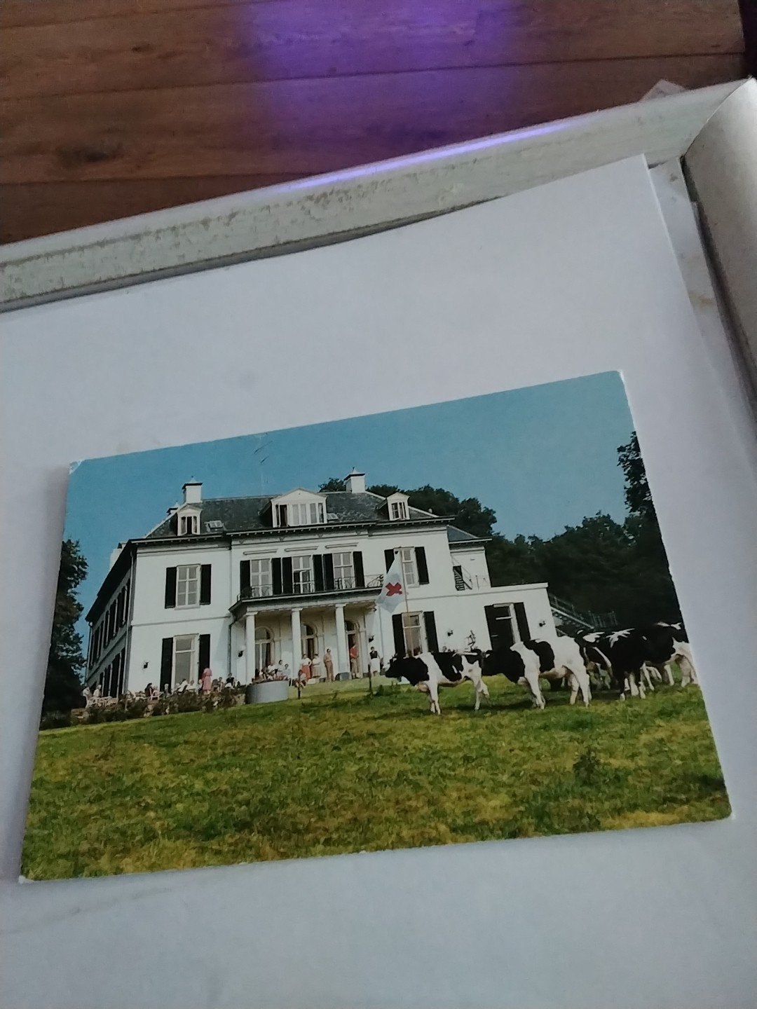 Ansichtkaart Vakantiehuis Het Rode Kruis Rheden Gelderland, Verzamelen, Ansichtkaarten | Nederland, Ophalen of Verzenden