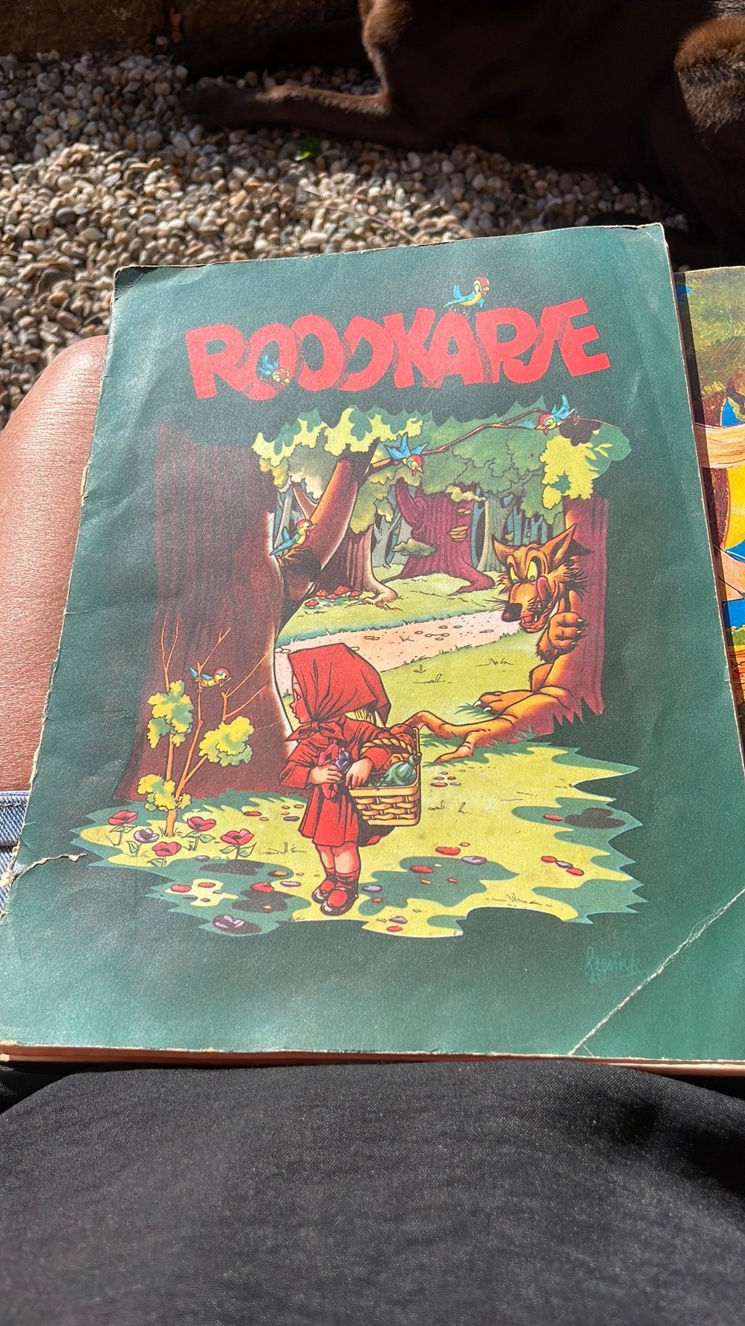 Roodkapje, Ophalen of Verzenden, Gelezen, Prentenboek