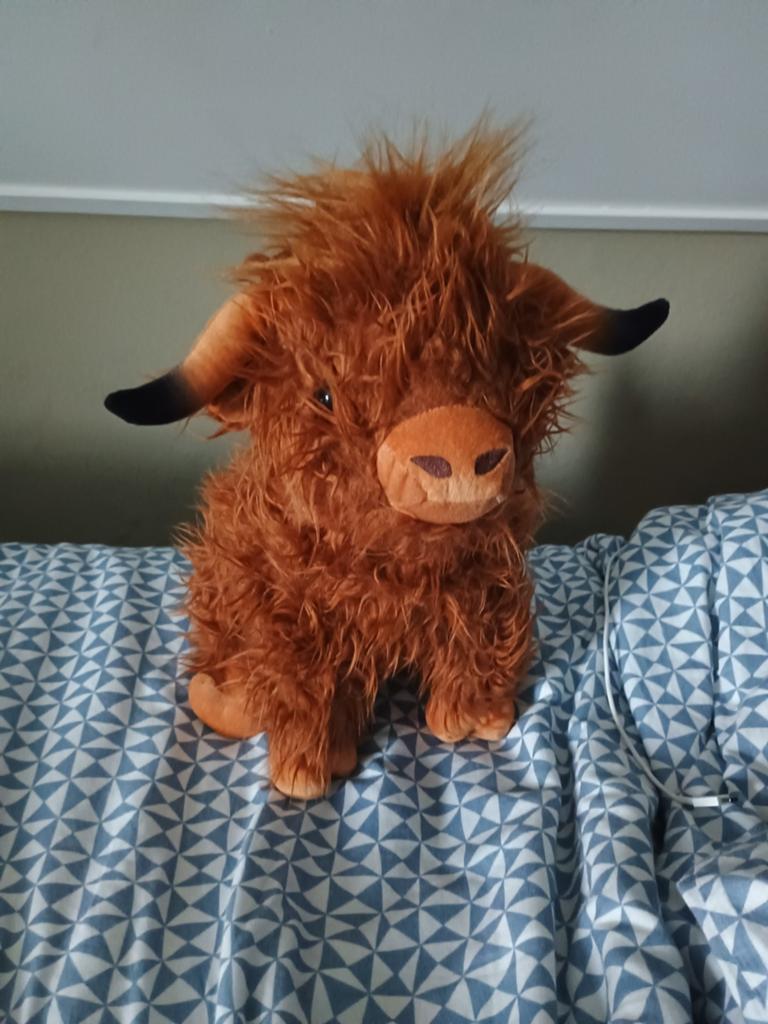 Diverse knuffels (ook los te koop), Ophalen of Verzenden, Overige typen