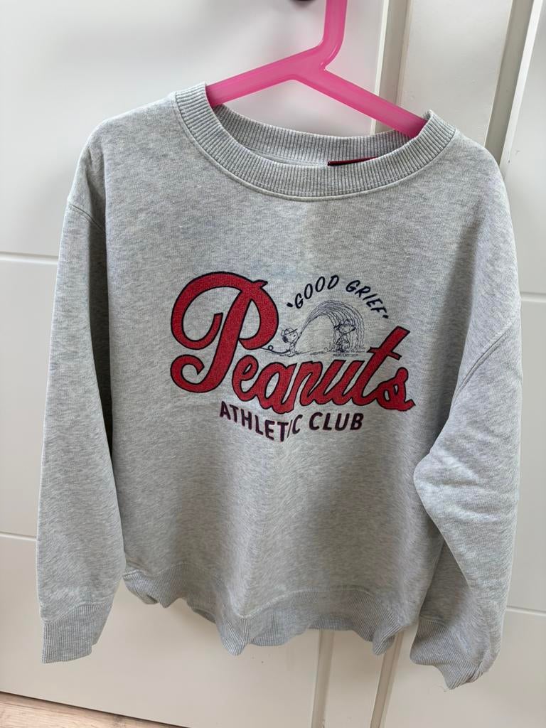 Leuke sweater Zara maat 152 / 12 jaar Snoopy, Ophalen of Verzenden, Zo goed als nieuw, Meisje, Trui of Vest