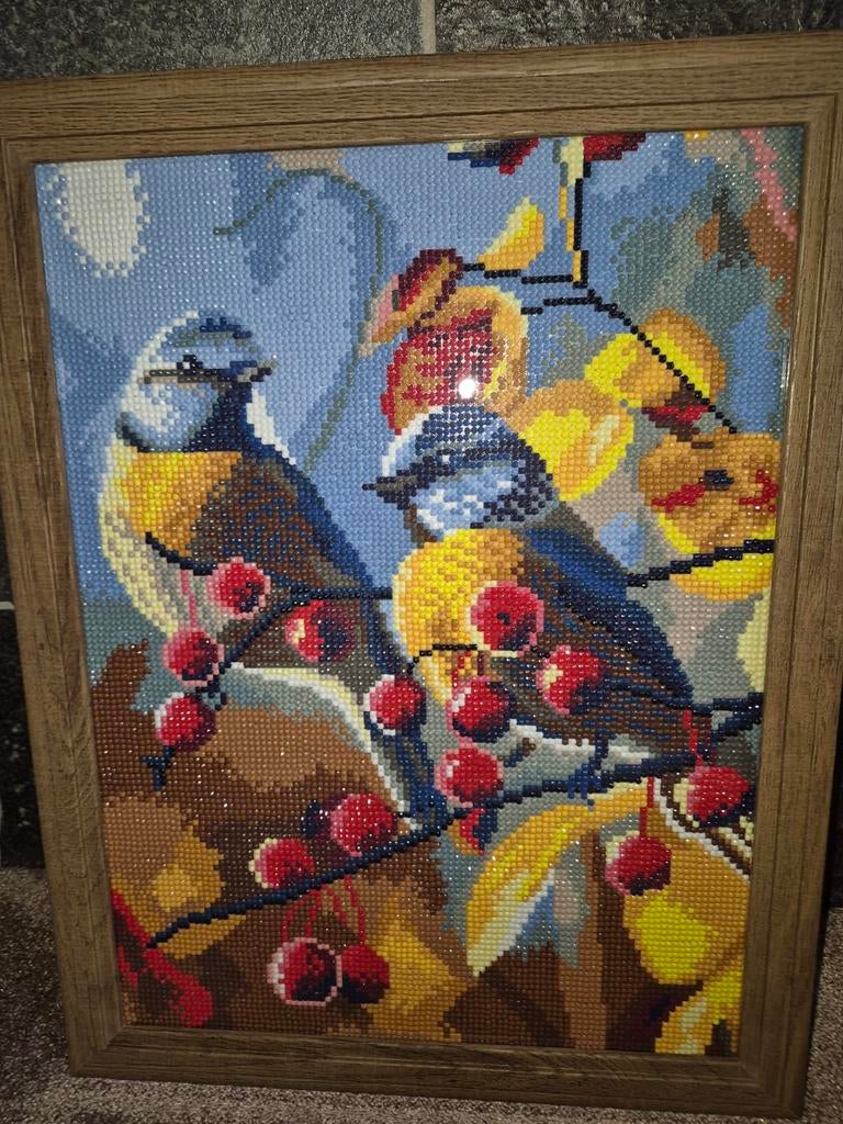 Diamond painting, Ophalen of Verzenden