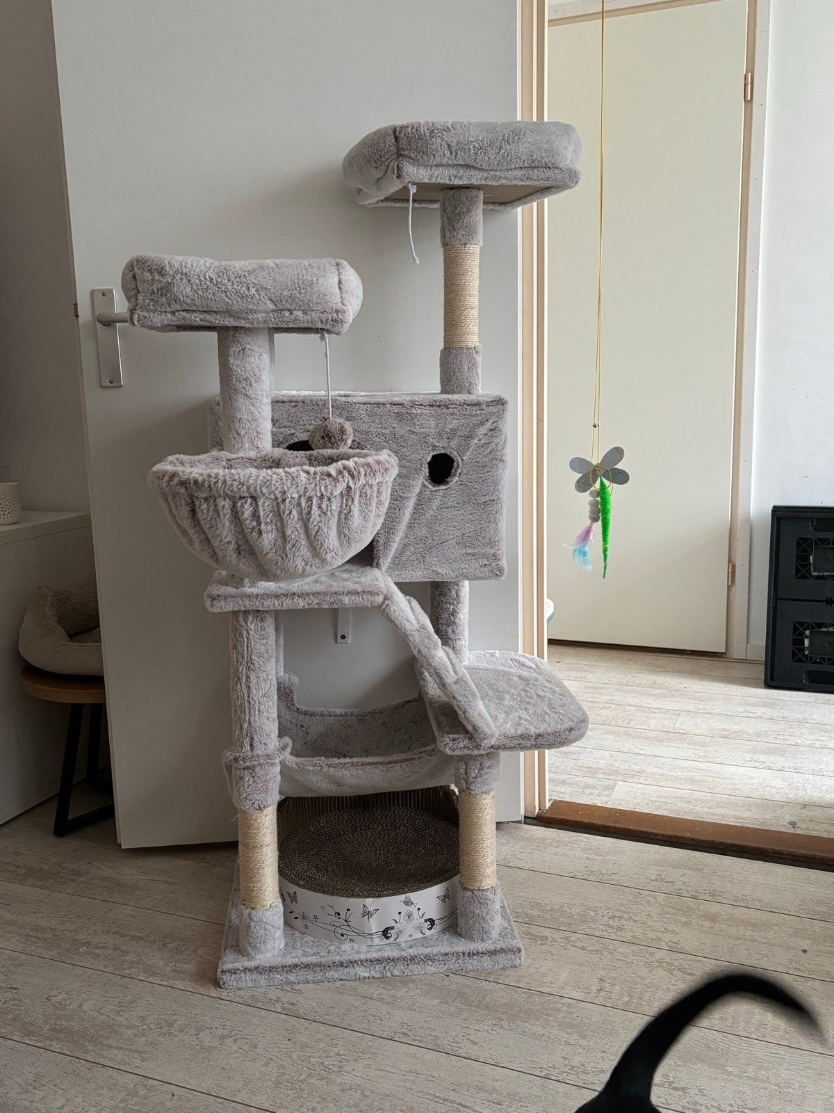 Kattenpaal z.g.a.n., Dieren en Toebehoren