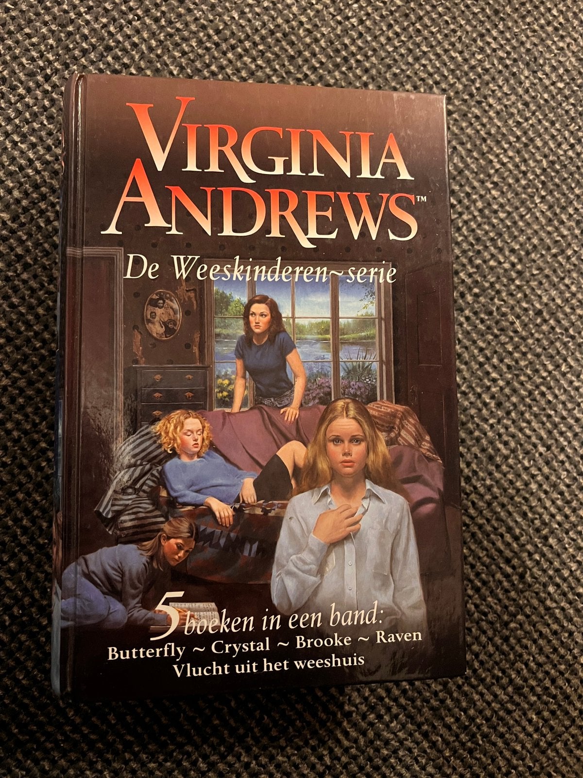 Virginia Andrews - De Weeskinderen Serie, Boeken, Ophalen of Verzenden, Zo goed als nieuw, Virginia Andrews