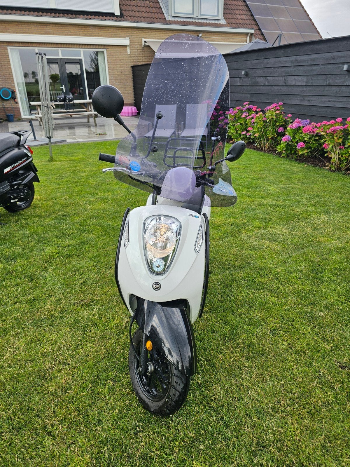 Sym Mio 50 | 2022 | Injectie | nieuwstaat | Dealer onderhoud, Ophalen, SYM, Zo goed als nieuw, Benzine