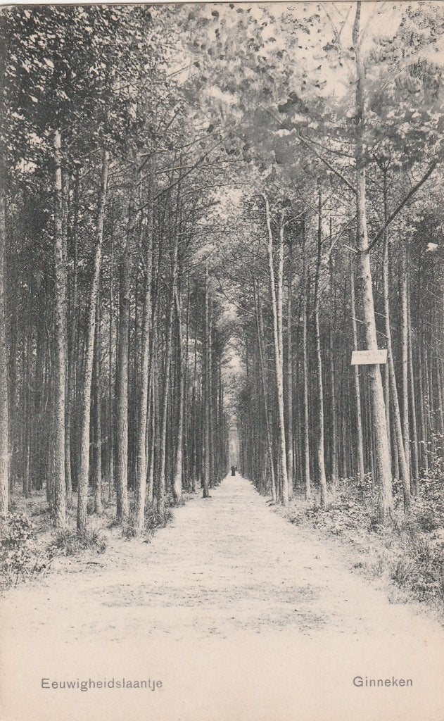 breda- eeuwigheidslaantje ginneken, Ophalen of Verzenden, Voor 1920, Noord-Brabant
