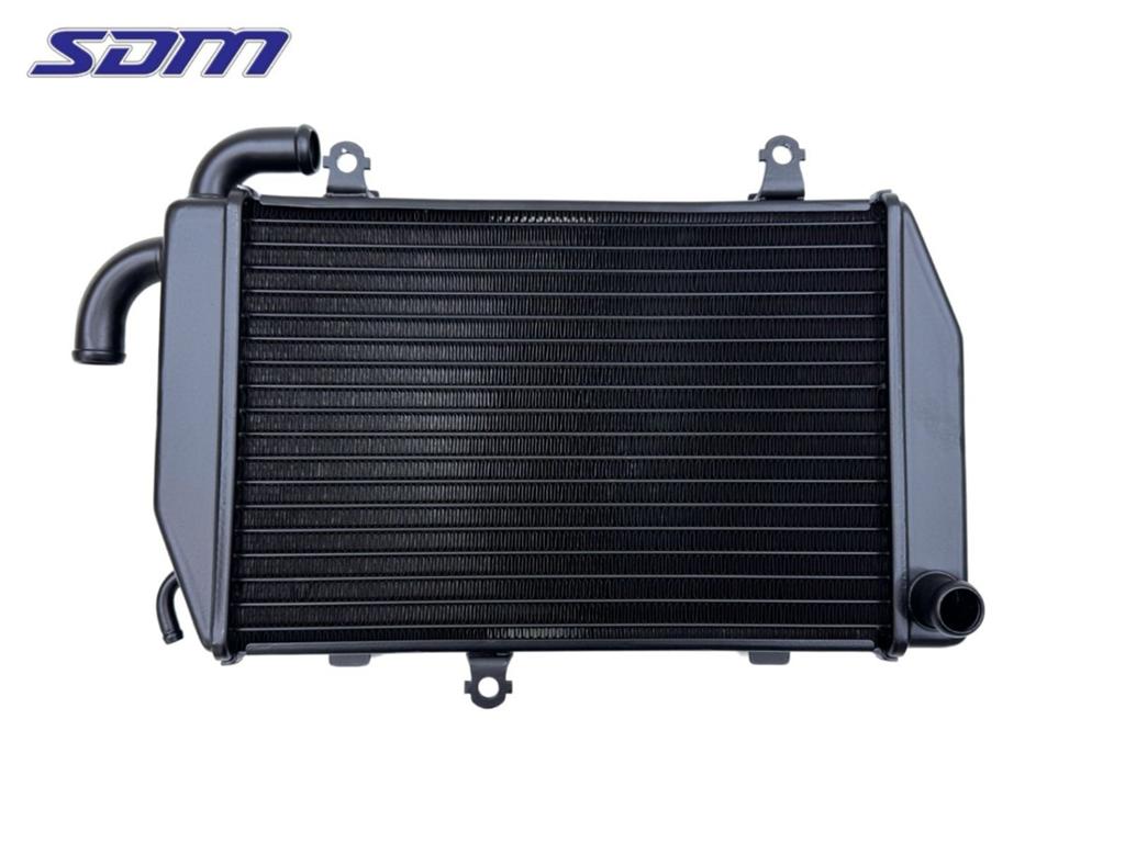Radiateur Honda GL 1800 (1970-01/..) 19010MCAA61, Honda, Gebruikt, Hanauer Landstraße  222-224, Frankfurt am Main 60314, , Duitsland