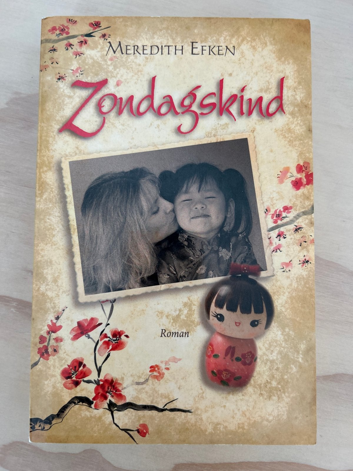 Zondagskind - Meredith Efken, Ophalen of Verzenden, Zo goed als nieuw, Nederland