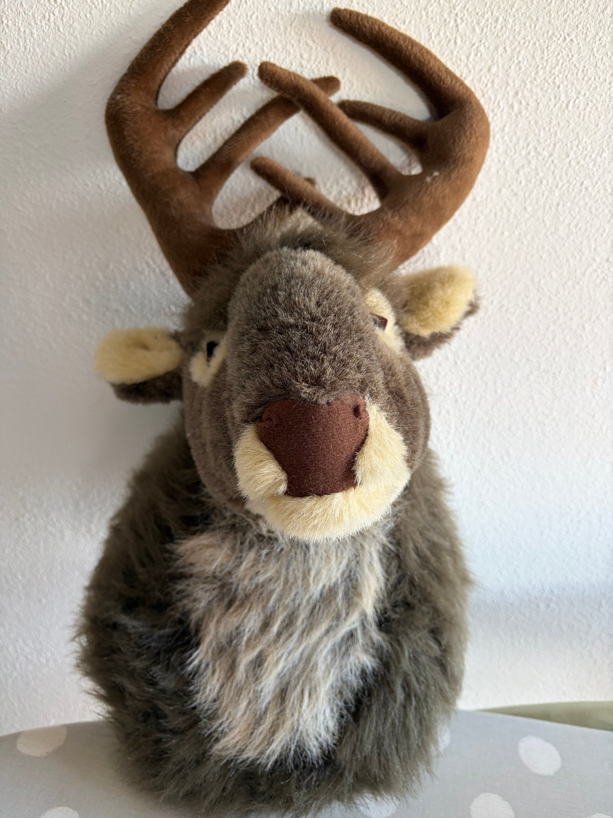 2 Knuffelige wandhangers - Rendier en Eland, Ophalen of Verzenden, Zo goed als nieuw, Bruin, Overige typen