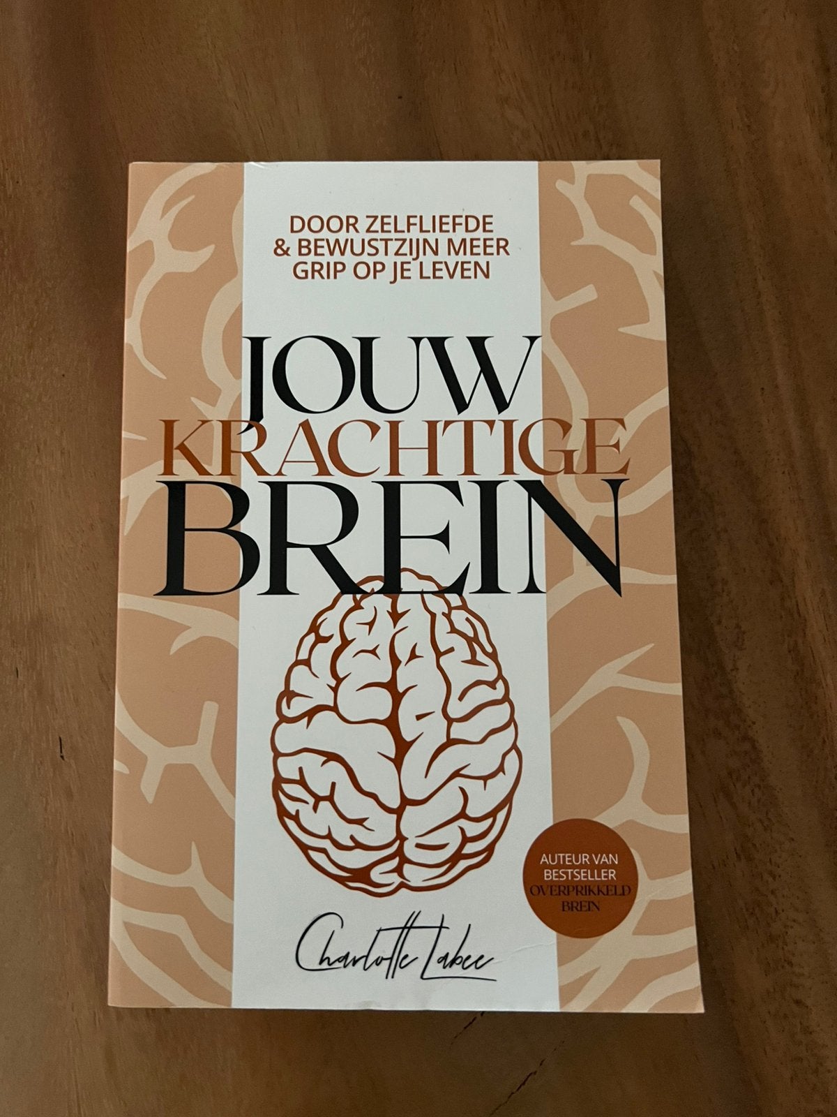 Jou krachtige brein boek van charlotte labe, Boeken, Ophalen of Verzenden, Zo goed als nieuw, Spiritualiteit algemeen, Overige typen